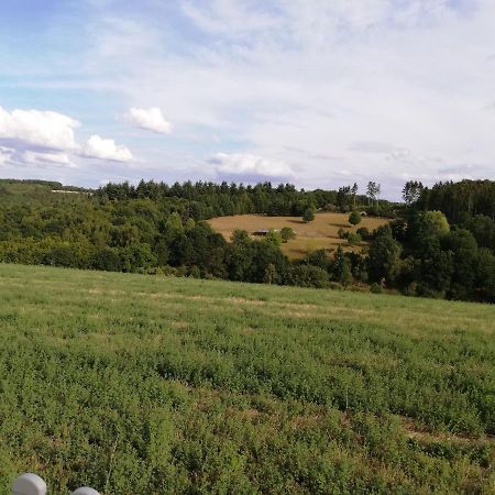 Ferienwohnung Altmaier - Ferien Auf Dem Lande Griebelschied Exteriör bild